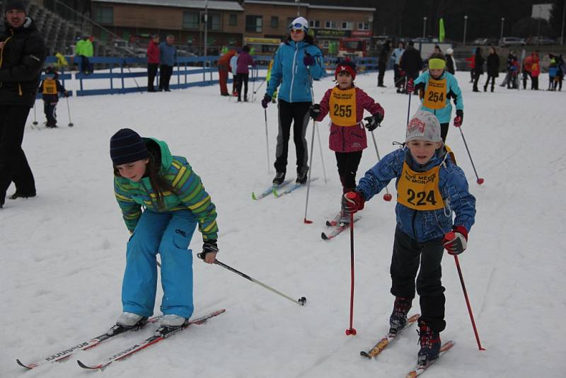 Párkové závody ve Vysočina Areně