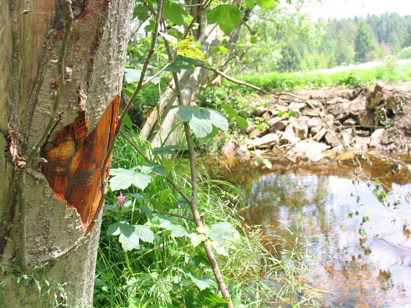 Ochranáři odhalili svévolné úpravy koryta řeky Svratky