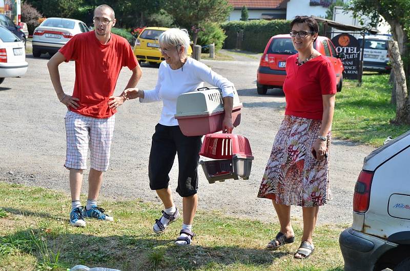 Z útulku odebrali všechny psy, provozovatelé péči nezvládali. Žďárská radnice řeší, kam teď bude umisťovat zatoulaná zvířata odchycená na území města.