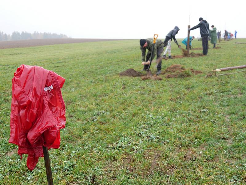 Účastníky sázení neodradil chlad ani déšť. Díky nim na ovčí pastvinu přibylo zhruba osm desítek nových stromů.