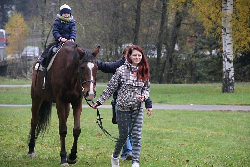 Jedna z největších přehlídek středních a učňovských škol nalákala spoustu návštěvníků.