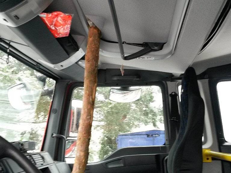 Borovice spadla při zásahu na automobil dobrovolných hasičů z Ostrova nad Oslavou. Větev stromu projela kabinou jako nůž máslem.