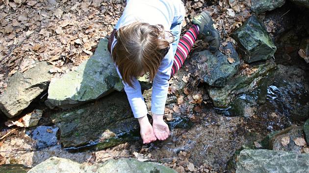 Stříbrná studánka na Žákově hoře je jedním z pramenů řeky Svratky.