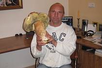 Zatímco léto houbařům moc radosti nenadělalo, podzim to vynahrazuje. Hřib smrkový v rukou Emila Kalabuse vážil 2,40 kilogramu, na výšku měřil 34,2 centimetru a obvod klobouku činil 88 centimetrů.
