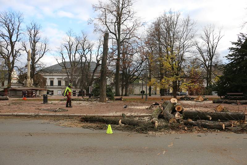 Do kmenů stromů se zakously motorové pily.