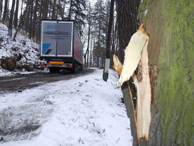 Strom, do kterého se kamion opřel. Za ním už je sráz ke Svratce.