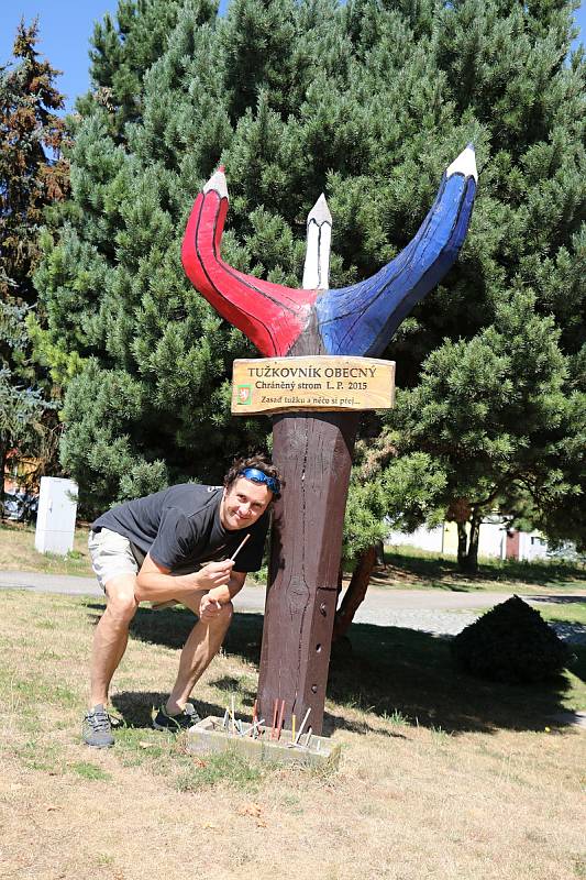 Chráněný strom tužkovník obecný.