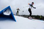 Luděk Šeller z Dukly Liberec a Sandra Schützová ze Ski Jilemnice získali na mistrovství republiky v běhu na lyžích v Novém Městě na Moravě tituly ve sprintu volnou technikou.