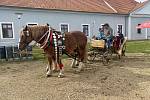 Na Edenu v Bystřici nad Pernštejnem si užili Slavnosti brambor.