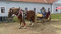 Na Edenu v Bystřici nad Pernštejnem si užili Slavnosti brambor.