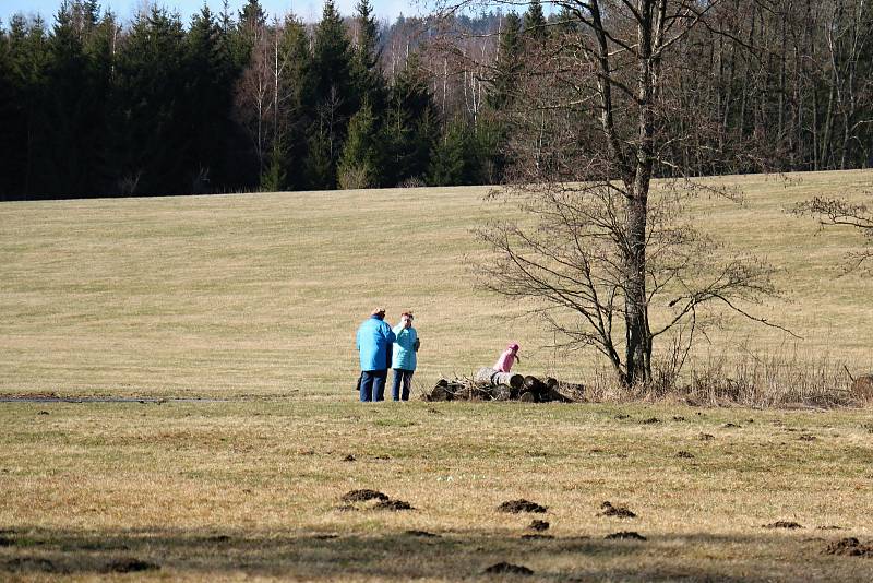 Bledule ve Světnovském údolí.