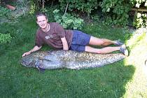 Sto osmdesát centimetrů dlouhého sumce vážícího čtyřicet šest kilogramů ulovil herálecký rybář Tomáš Odvárka ve vodách Pilské nádrže.