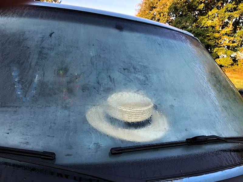 Přestože na ojíněné rostliny a škrabání aut si už pomalu budeme muset zvykat, na příštích pár dní meteorologové mráz na Vysočině nehlásí.