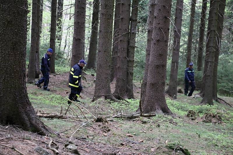 Spolupráce se zdravotníky byla pro hasiče velkým přínosem