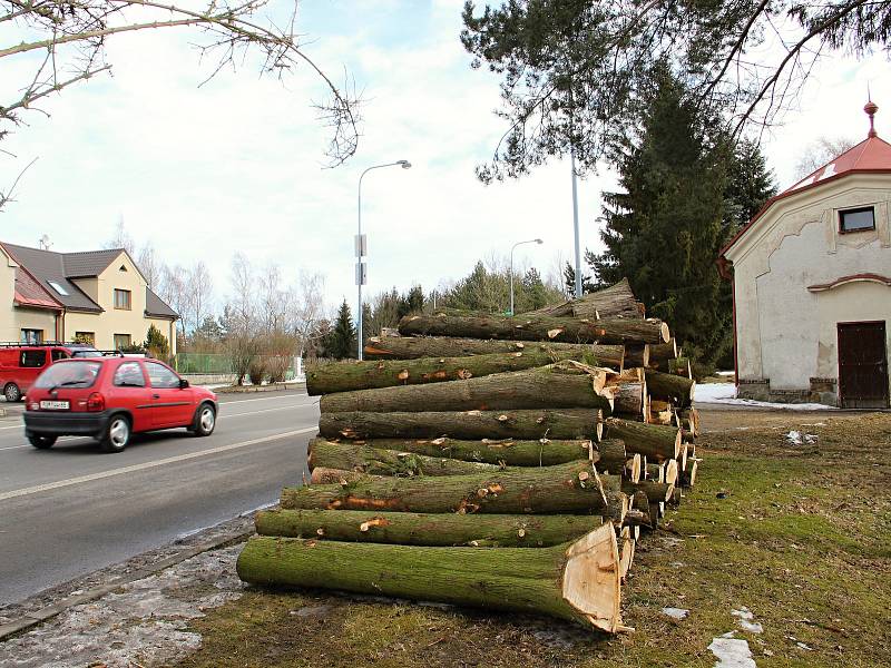 Revitalizace zeleně se dotkne několika lokalit ve Žďáře.