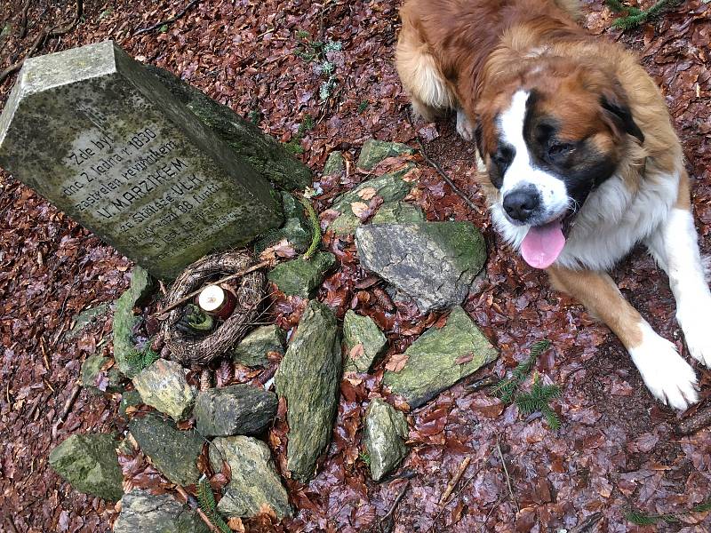 Vlčí kámen najdou zájemci v lesích u Koníkova.