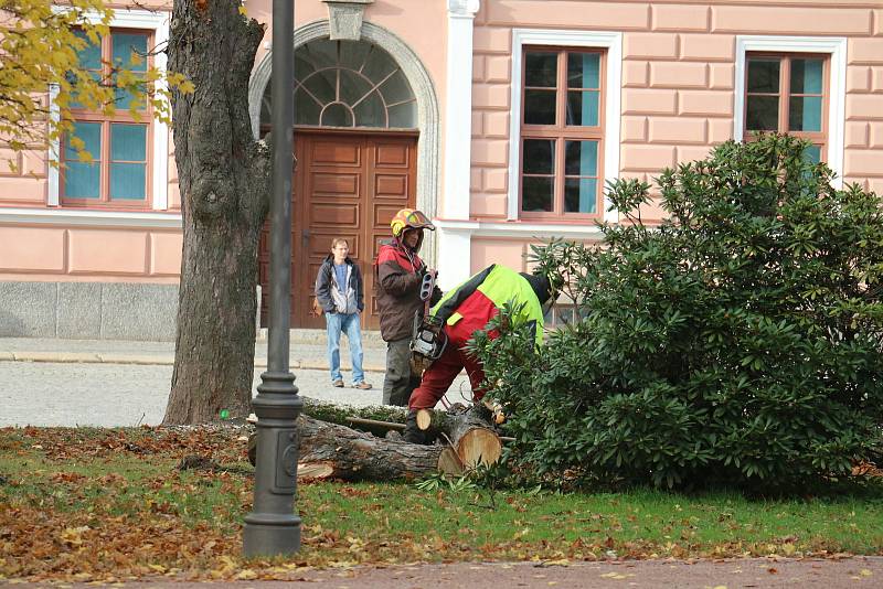 Do kmenů stromů se zakously motorové pily.