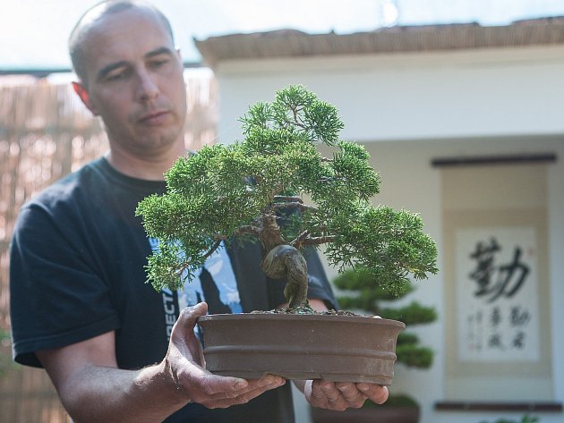 V japonské zahradě ve Sněžném rozjímají i o prázdninách