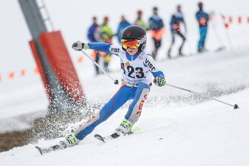 Veřejný závod v alpských disciplínách uspořádal Ski klub Velké Meziříčí na místním Fajtově kopci. Soutěž neohrozilo ani na začátek března již poměrně dost teplé počasí.