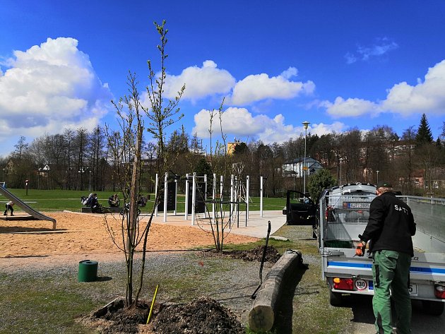 Nové stromy i cesty. Ve Žďáře upravují parky pro děti i pejskaře