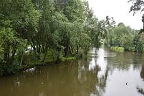 Stržský potok, Bránský rybník a další zvednuté hladiny ve Žďáře