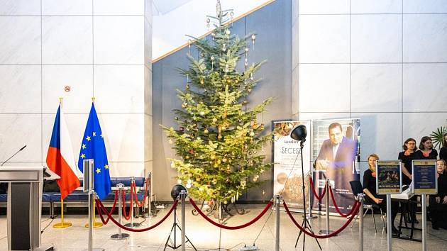 Strom v Evropském parlamentu.