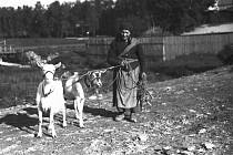 Fotografie Aloise Podlouckého