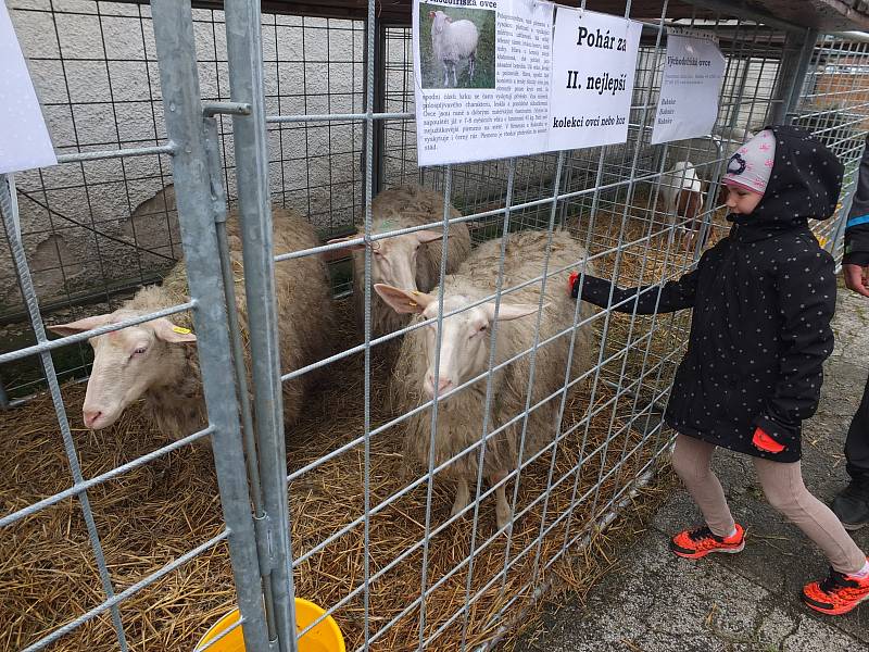 Největší chovatelská výstava v Kraji Vysočina přilákala o víkendu davy návštěvníků.