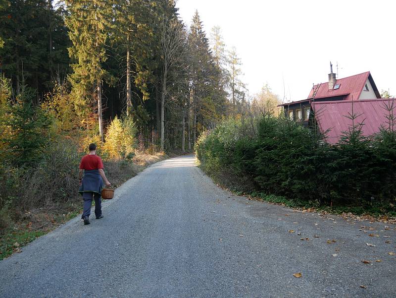 Lesní cesta, již hojně využívají nejen lesníci, ale i chataři, cyklisté a turisté, byla před opravou plná výmolů. Nyní dostala nový povrch.