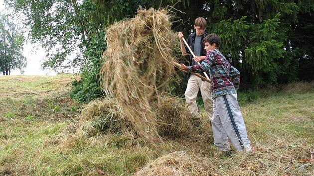 Louky u Vojnova Městce ochranáři v létě kosí (na snímku), na podzim pak prořezávají náletové dřeviny.