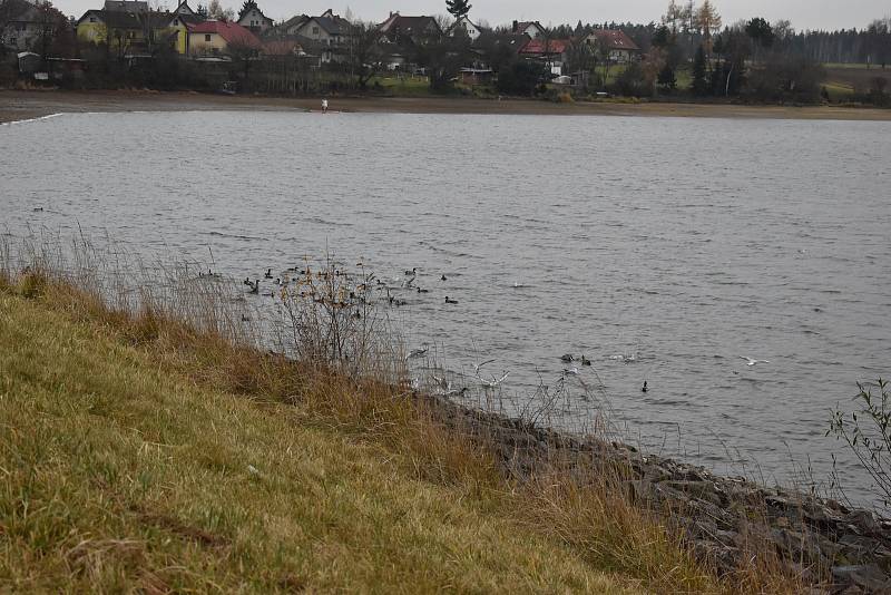 Novoveselský rybník je oblíbeným místem turistů i čkolních dětí.