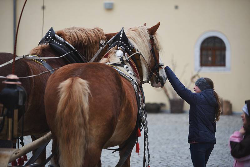 Při vítání jara na Edenu předvedla show jezdecká skupina Štvanci, nechyběla mláďátka a občas bylo potřeba zahřát se svařákem nebo teplým čajem.