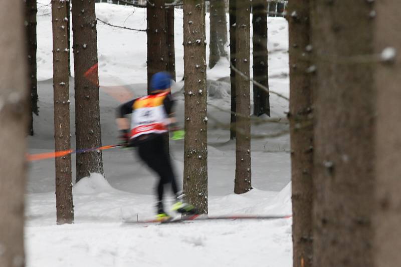 Luděk Šeller z Dukly Liberec a Sandra Schützová ze Ski Jilemnice získali na mistrovství republiky v běhu na lyžích v Novém Městě na Moravě tituly ve sprintu volnou technikou.