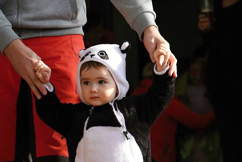 Karneval v Rokytně se každoročně koná pod taktovkou místních hasičů.