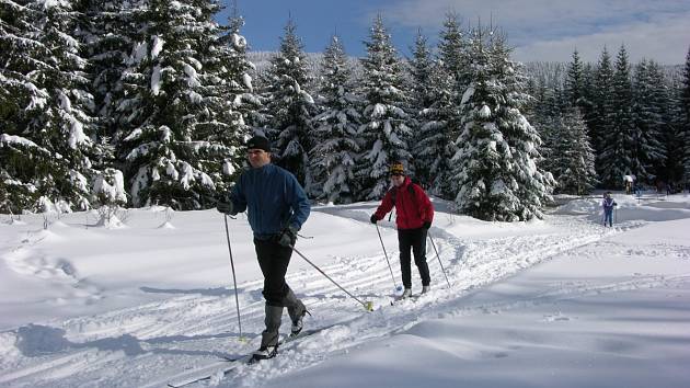 NOVINKY. Vyznavači běžeckého lyžování se na Žďársku v zimní sezoně dočkají desítek nových upravených úseků. 