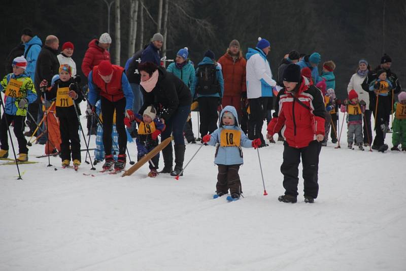 Párkové závody ve Vysočina Areně