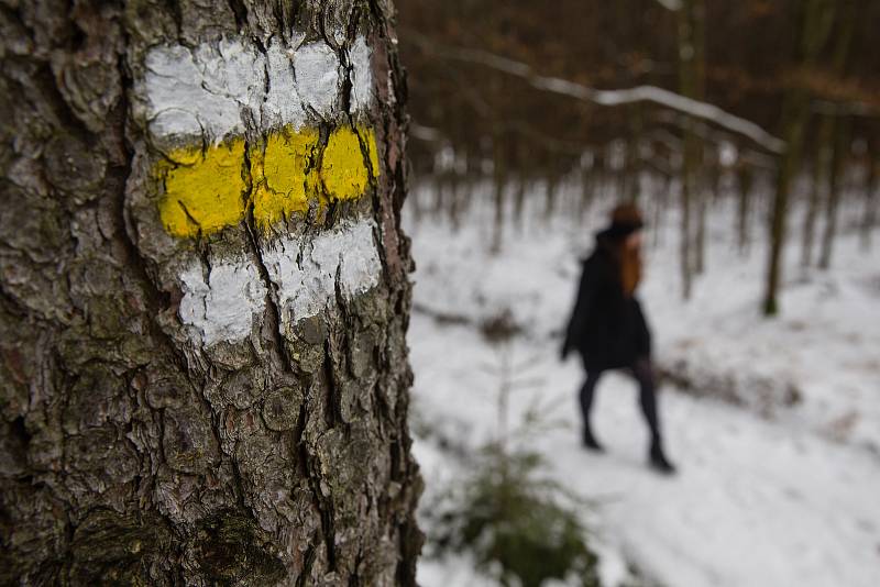 Kvůli kůrovcové kalamitě z lesů mizí i turistické značky.