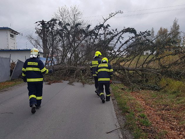 Spadlé stromy ve městě se odstraňují, v lesích hrozí ohrožením života