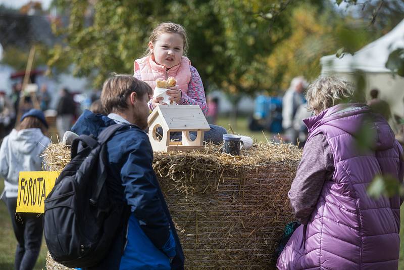 Den venkova 2019.