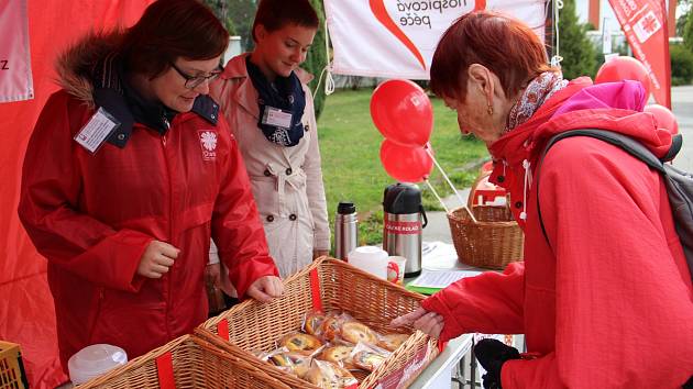 Výtěžek z prodeje sladkého pečiva půjde na podporu Domácí hospicové péče žďárské charity.