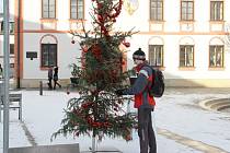 Vánoční přání plní i stromek na žďárském náměstí.