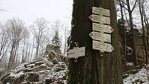 Vykácené stromy, paseky, mizející turistické značení i tabulky terénní záchranné služby má na svědomí lýkožrout smrkový.