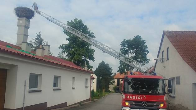 Profesionální hasiči se podíleli na kroužkování čápů na Žďársku.