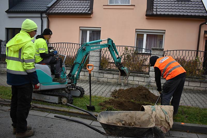 Zaměstnanci dodavatelské firmy se už pustili do sázení čtyř i pětimetrových stromů.