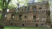 Zřícenina hradu se nachází přímo uprostřed Dalečína.