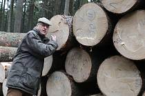 V lesních porostech Kinských roste rezonanční dřevo, které bude použito na výrobu klavírů a pianin.