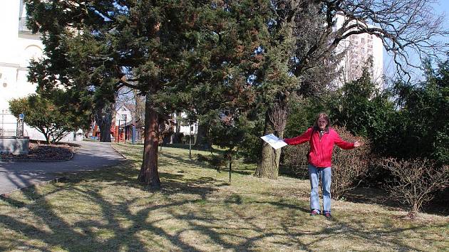  V Novém Městě se připravuje instalace sochy Jan Hus od Jana Štursy. Umístěna by měla být v zahradě evangelického kostela (na snímku) u příležitosti 600 let od úmrtí tohoto slavného kazatele. 