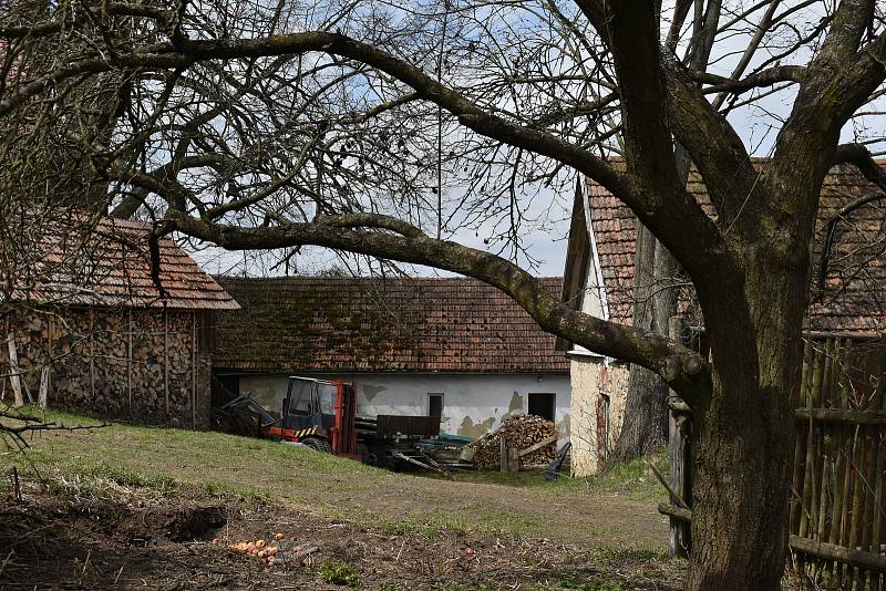 V Milasíně žije necelých padesát obyvatel.