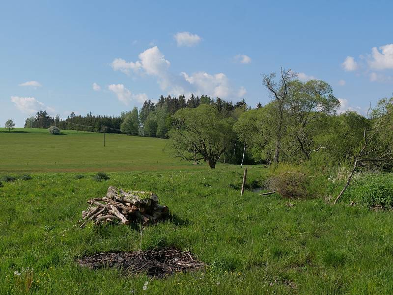 Rychtářky jsou výjimečné svou rozlohou i druhovou pestrostí.