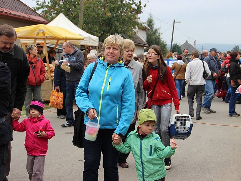 Chovatelský svátek v Bohdalově - Výstava Vysočiny 2014.